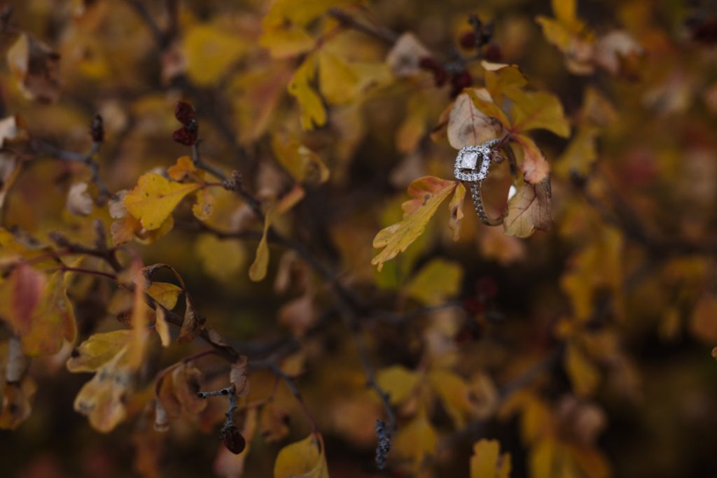 Flagstaff Engagement Photos Ring on Fall Leaves