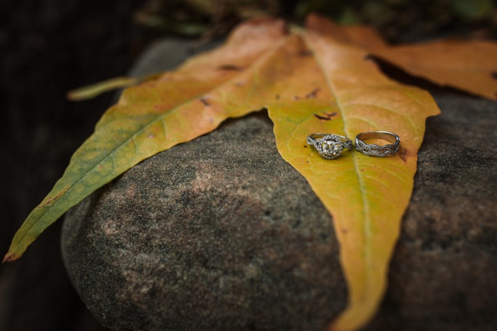 Fall Leaf with two engagement rings