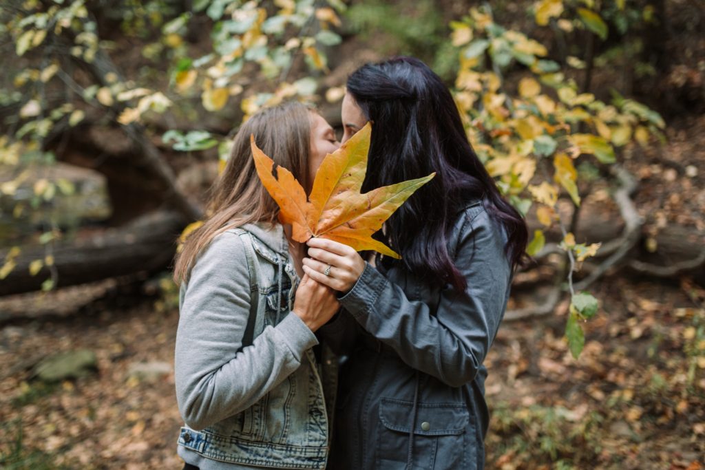 couple kiss behind giant leaf for engagement photos