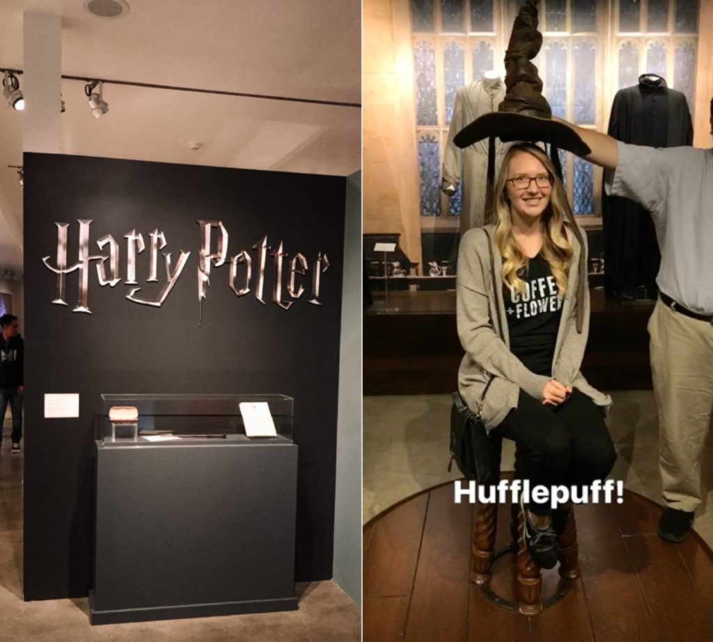 Warner Bro's Tour Harry Potter hufflepuff