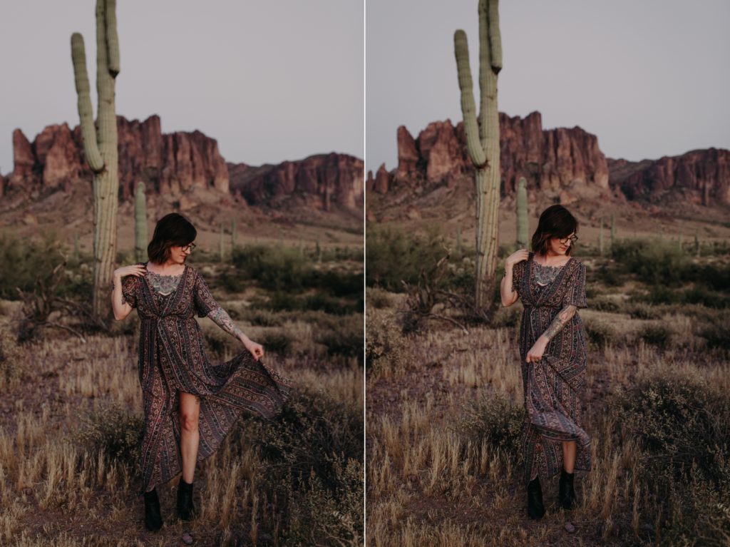 Superstition Mountains Desert Cacti Headshots