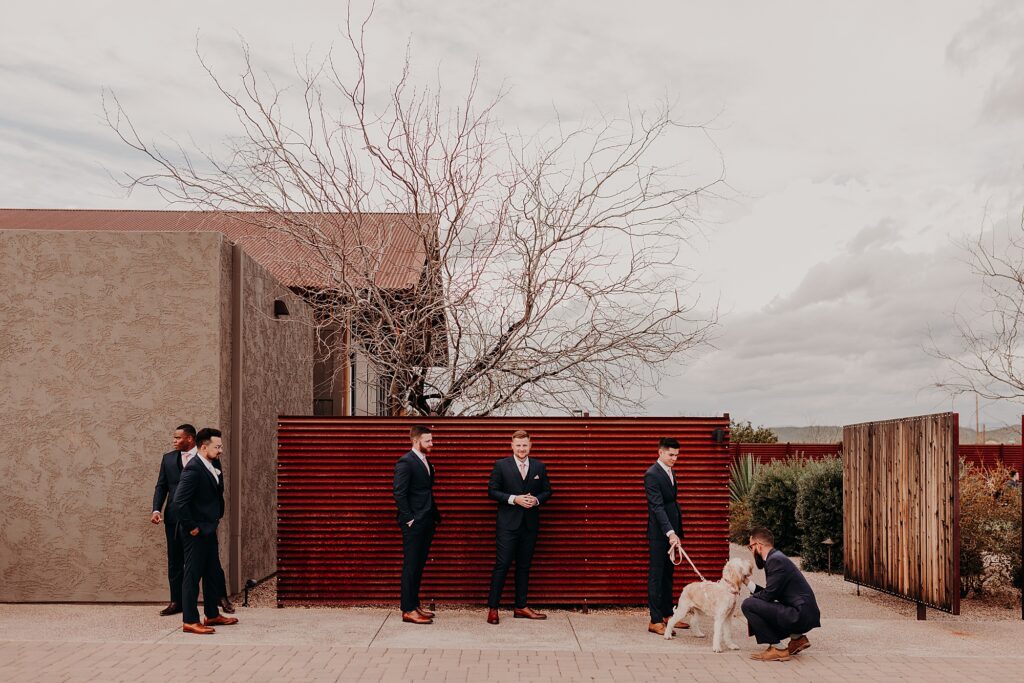 groomsmen hang out with golden doodle dog before wedding ceremony