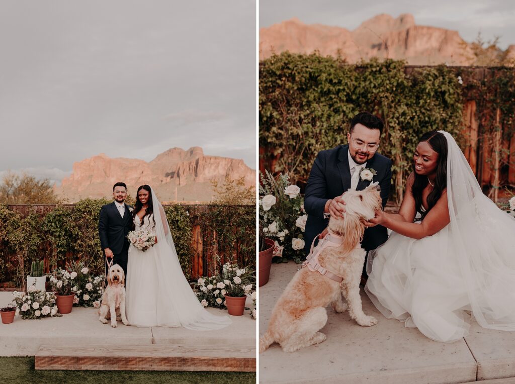 bride and groom snuggle with golden doodle on their wedding day