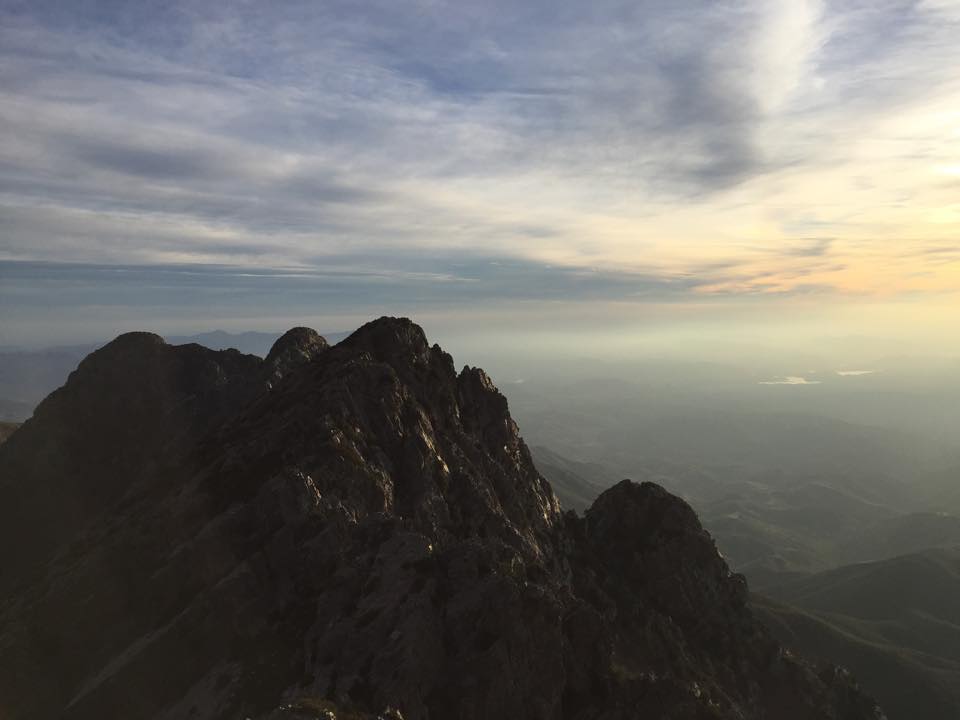 Top of Four Peaks, Arizona