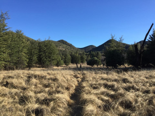 Hiking Reavis Ranch Trail Arizona