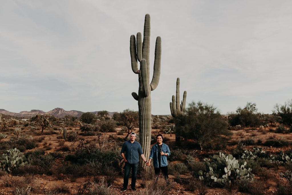 Phoenix Desert Engagement Photos