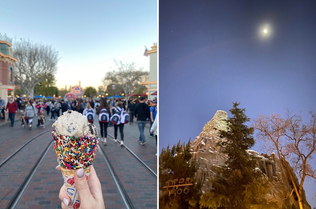 Disneyland Ice Cream
