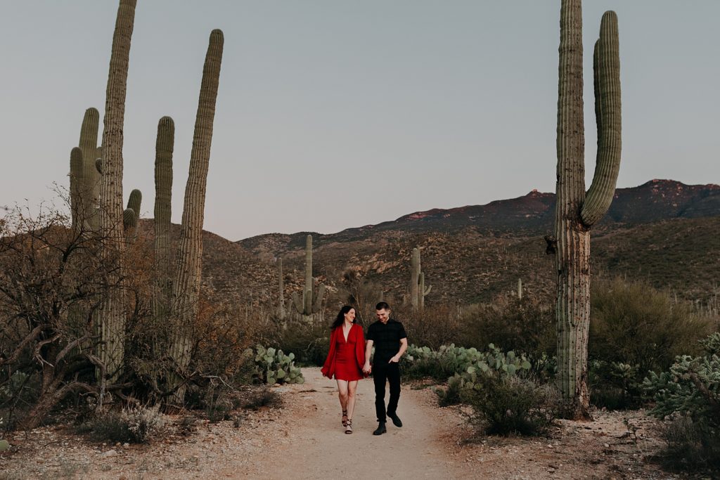 Saguaro National Park with Justin and Molly