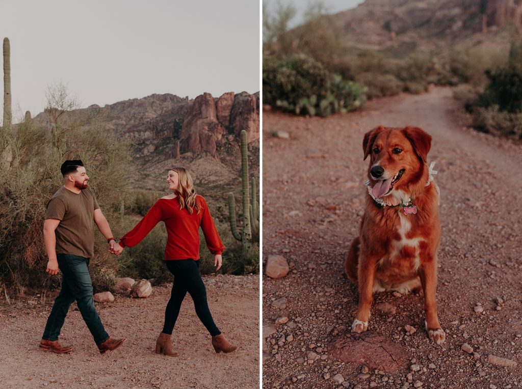 Puppy Love Engagement Session with Emily and Brenden