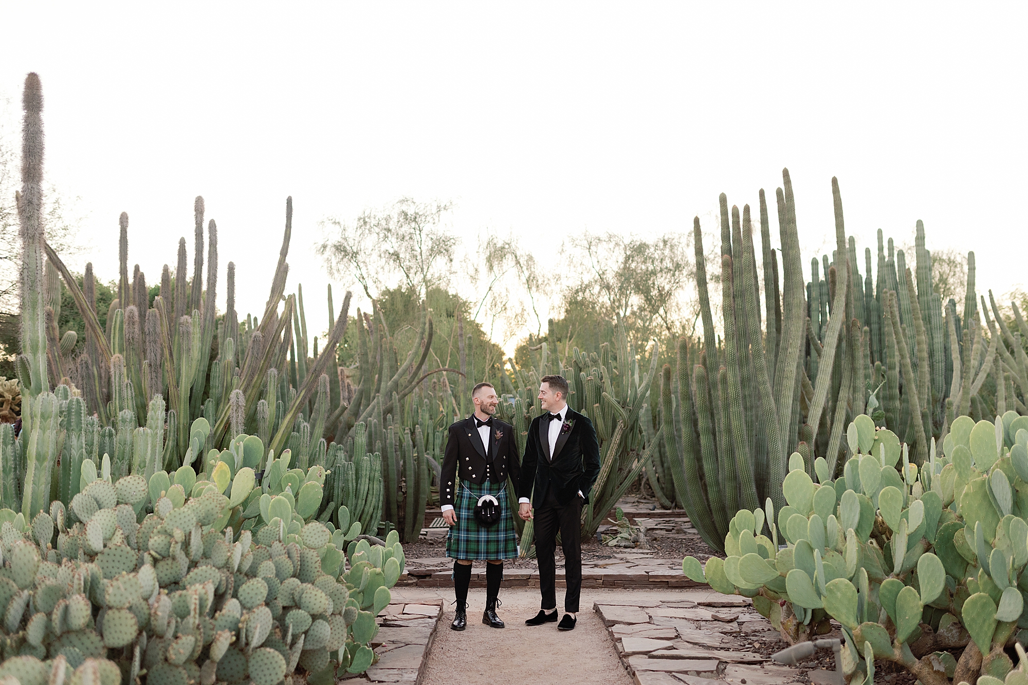 two grooms walk through cactus garden at the desert botanical garden